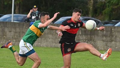 Louth GAA Division 1 reports