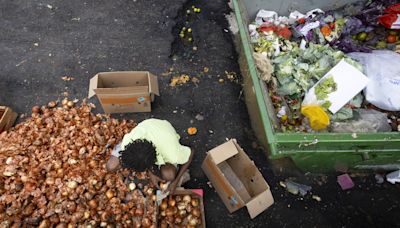 31 milhões de brasileiros deixam a insegurança alimentar, mas Brasil segue no Mapa da Fome da ONU