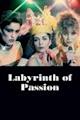 Labyrinth of Passion