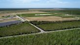 Once part of the nation’s largest farm, crops still grow in Dare County — surrounded by wildlife refuge