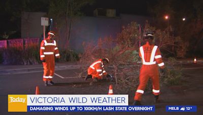 Victoria lashed by wild winds overnight, with more expected over the weekend