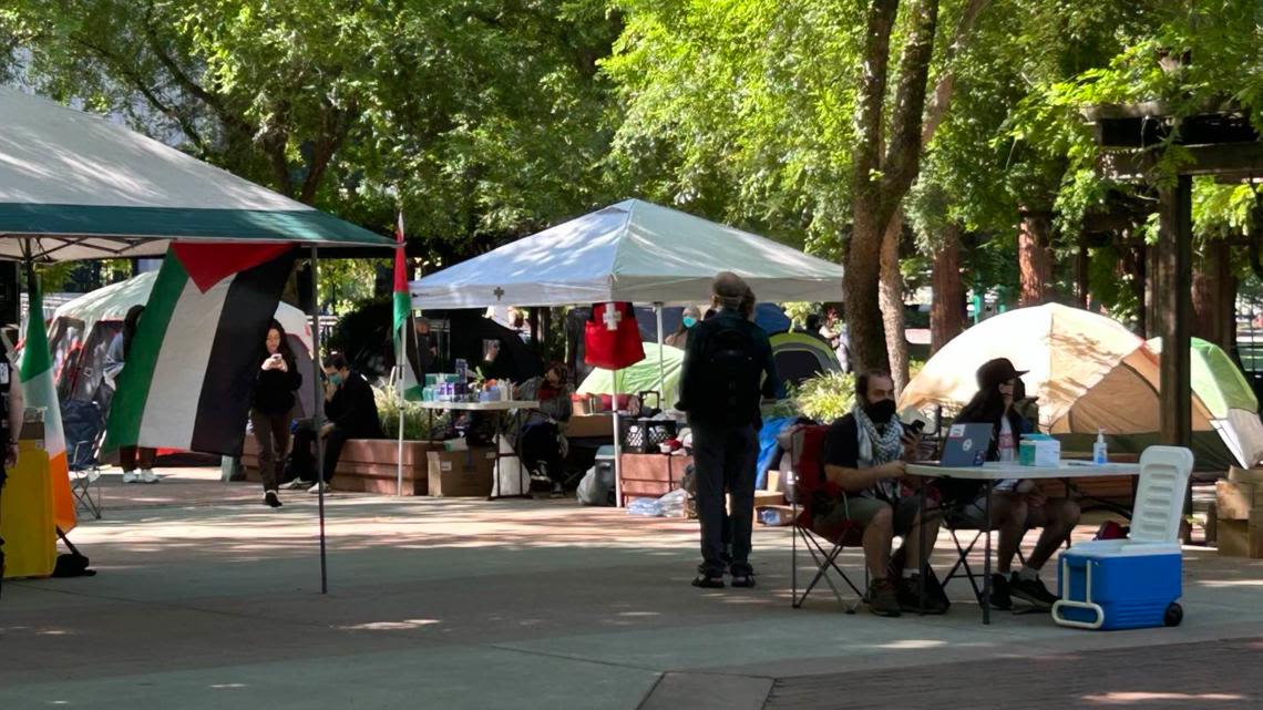 Demonstrators gather at Sacramento State in Gaza war protest