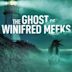 The Ghost of Winifred Meeks