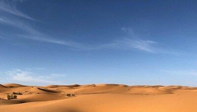 Sahara's green miracle: Desert blossoms after unprecedented heavy rainfall