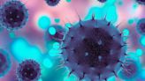 Study: Development of a vaccine will best protect humans from bird flu
