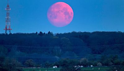 Luna llena Rosa: cuándo y a qué hora se podrá ver en Argentina