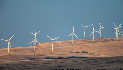 Want More Clean Energy Projects? Give Communities a Stake