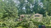 Person rescued from Plum home after tree fell, bringing down wires
