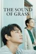 The Sound of Grass