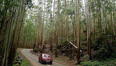 The controversy over eucalyptus planting in Kerala | Explained