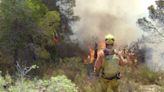 La supervivencia de los montes en Aragón tras un incendio forestal: repoblación, regeneración o erosión - Hora 14 Aragón (29/06/2024)