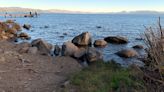 Biden announces $3.4 million to keep invasive species out of Lake Tahoe
