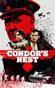 Condor's Nest