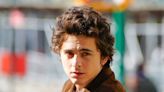 Timothée Chalamet’s Transformation Into Bob Dylan in Biopic Trailer Is Anything But a Simple Twist - E! Online