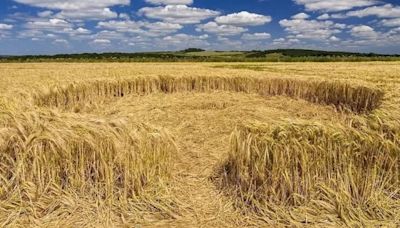 Video: Peculiar 'Puzzle' Crop Formation Found in England | Talk Radio 98.3 WLAC | Coast to Coast AM with George Noory