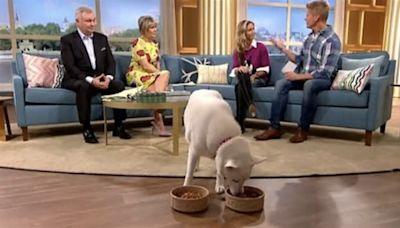 Woman who insisted her dog is vegan proved wrong on live TV