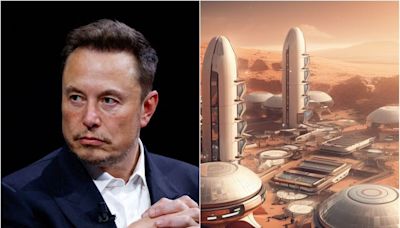 El polémico plan de Elon Musk para colonizar Marte: se ofreció a “sembrar” y crear su propia especie - La Tercera