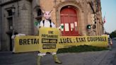 Greenpeace activists dump ton of algae outside French government HQ in factory farm protest