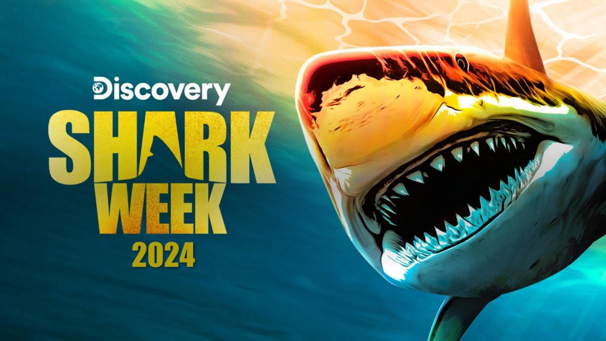 Top 10 Shark Week 2024 Specials to Stream on Max