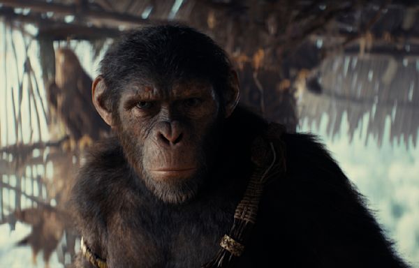 Everything you need to know before watching Kingdom of the Planet of the Apes