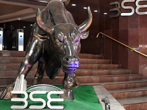 Multibagger IPO: BSE SME stock turns ₹1.44 lakh of allottees into ₹14.42 lakh in eight years | Stock Market News