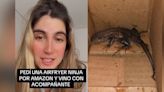 Lagarto por pedido: joven colombiana pidió una freidora por Amazon y llegó escoltado por un animal exótico