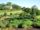South Carolina Botanical Garden