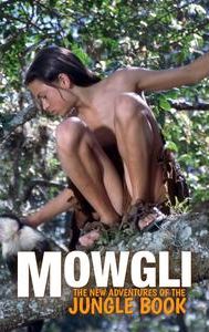 Mowgli: The New Adventures of the Jungle Book