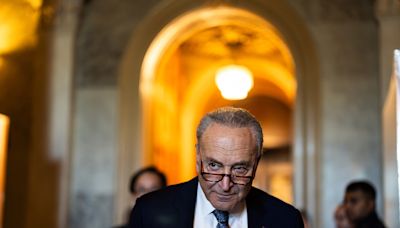 The Obstacle Chuck Schumer Left Out of His Big Israel Speech