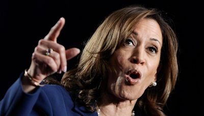 Kamala Harris slams Trump over 'fear and hate' at first rally