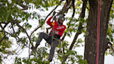 Pa. man on quest to climb tallest tree on state’s tallest peaks