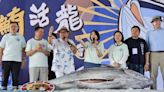 單價、總價都破紀錄！「屏東第一鮪」逾310萬賣出 縣長愉快獻唱心花開