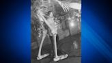 Lend a hand? Cambridge restaurant asking for public’s help after giant skeleton arm stolen