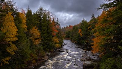 Blackwater River included on America's Most Endangered Rivers list for 2024 - WV MetroNews