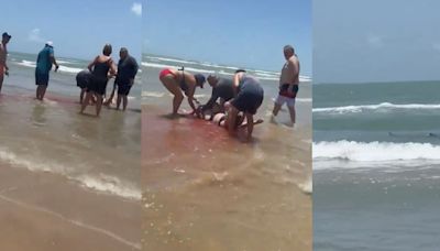 VIDEO: Mujer sufre brutal ataque de un tiburón en la Isla del Padre de Texas