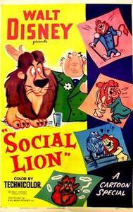 Social Lion