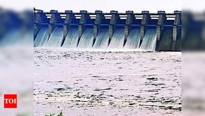 Push for Small Hydro Power Projects: CS Seeks Exemption | Shimla News - Times of India