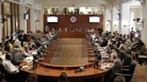 Fracasa en el Consejo de la OEA resolución que pedía transparencia al Gobierno de Venezuela