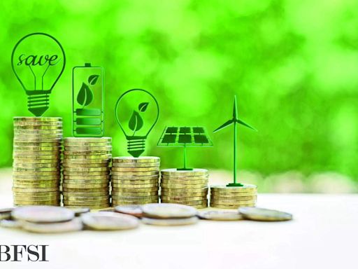 Economic Survey 2024: SGB framework rated as 'medium green' with good governance score by CICERO - ET BFSI