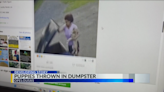 Details on investigation of puppies being thrown in dumpster