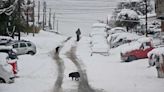Por qué fue histórica la nevada de otoño que afecta a Bariloche y Neuquén
