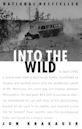 Into the Wild (book)