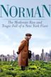 Norman (2016 film)