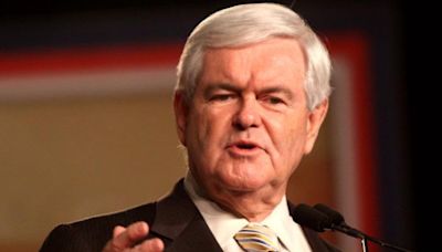 Newt Gingrich inadvertently gives Biden a killer line to use on Trump