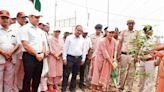 Mini forest for Rohtak;10,000 saplings being planted on Jind-Gohana road