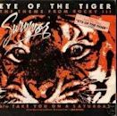 Eye of the Tiger