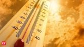 Kashmir records highest July temperatures in 25 years amid heat wave - The Economic Times