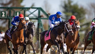 Kentucky Derby Pedigree Corner Presented By FanDuel Racing: Encino, T O Password, Forever Young, And Track Phantom