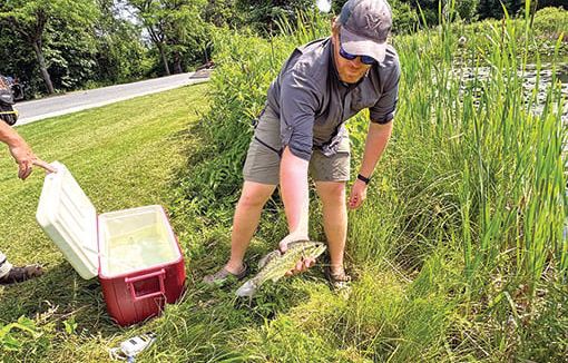 Warren County, New York, introduces bass in attempt to counter invasive goldfish near Lake George - Outdoor News