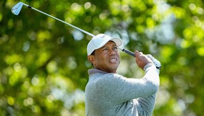 2024 U.S. Open odds, golf picks: Tiger Woods, Rory McIlroy predictions from model that nailed the Masters, PGA